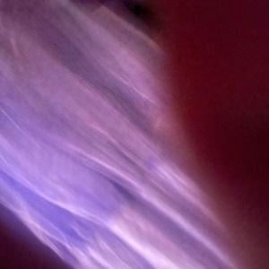 Meet your Posher, Derrick